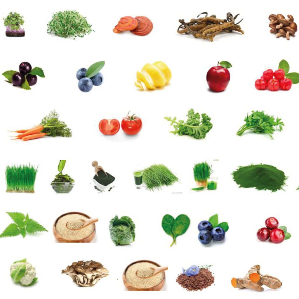 Super Greens Immune Support Ⓥ - Image 6