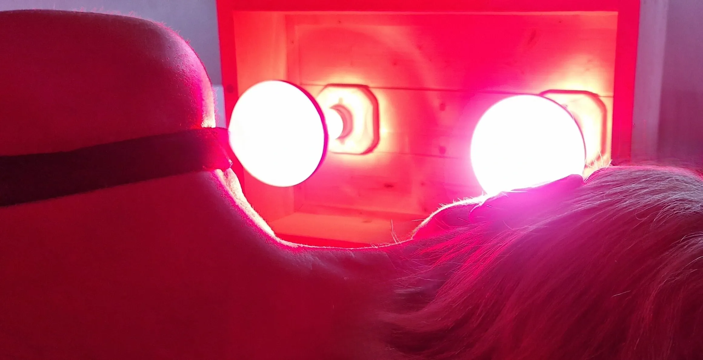 Near Infrared Light Therapy - Image 4