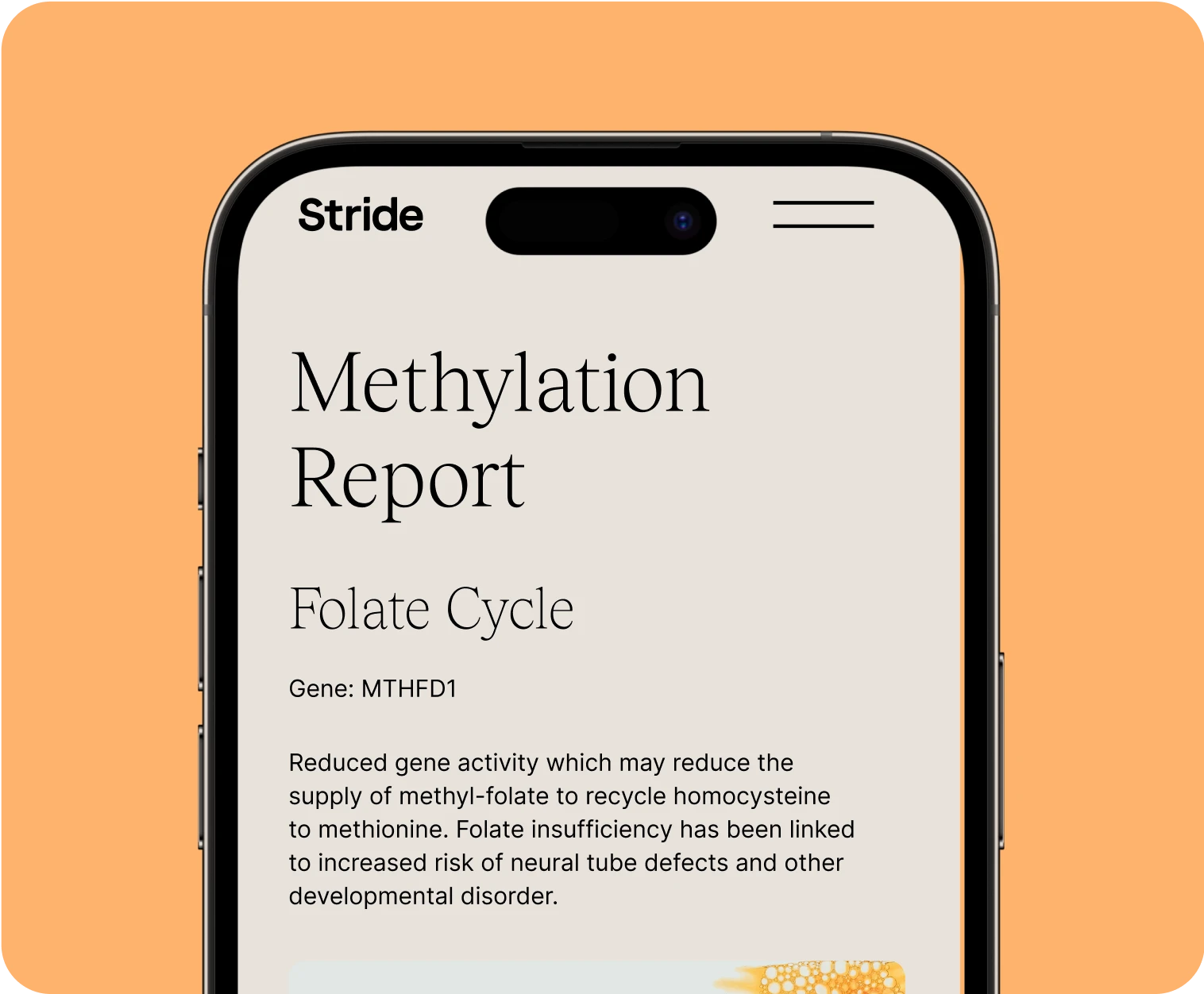 DNA Testing with Personalised Methylation Reports - Image 2