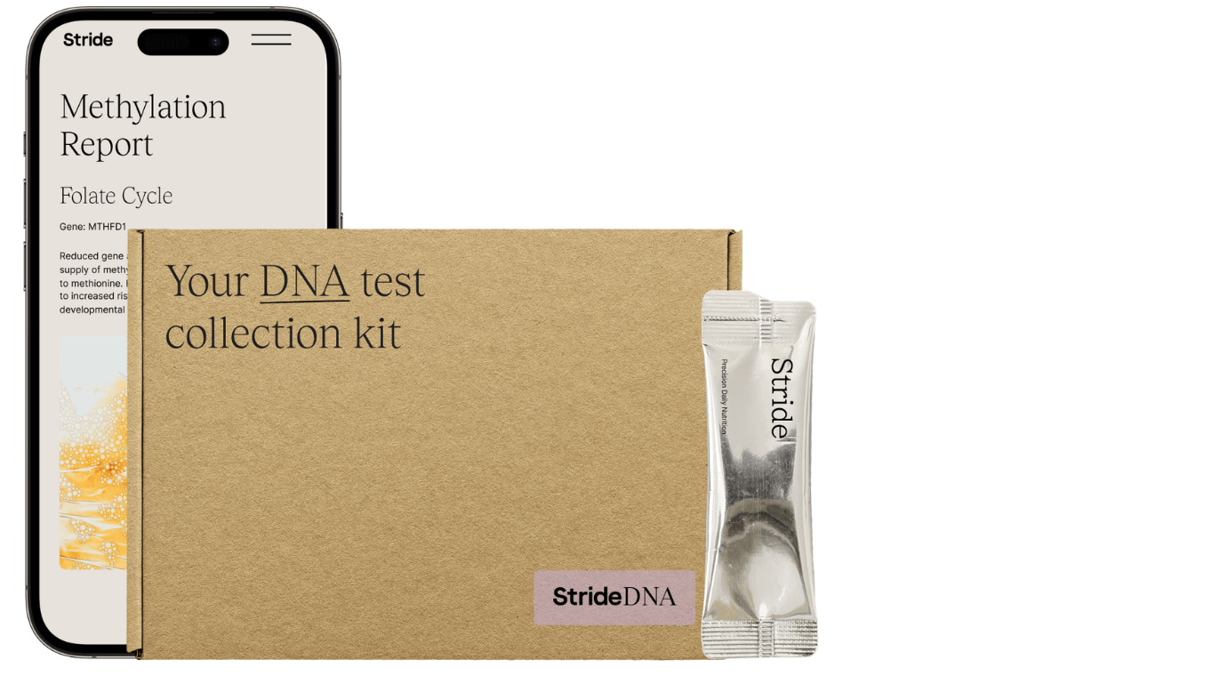 DNA Testing with Personalised Methylation Reports - Image 3