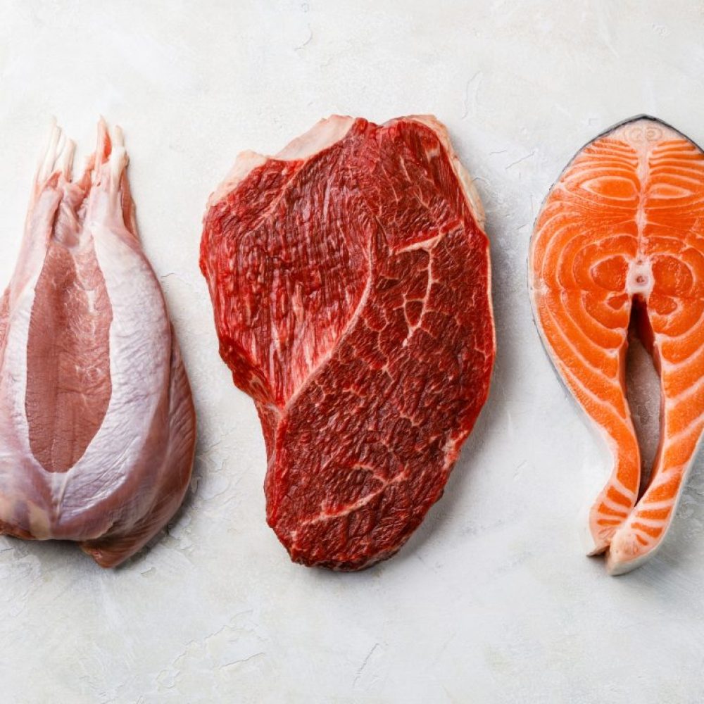 Carnivore Diet plan + Journal