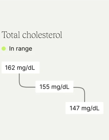 Receive your clear results within 7 days via MyStride, our secure and easy-to-use digital platform, and start optimising your health.